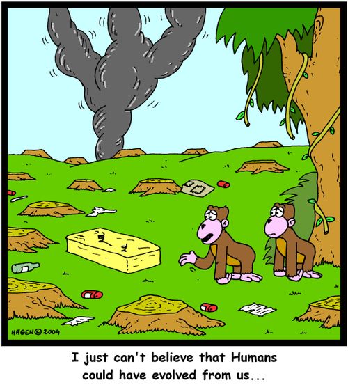 'I just can't believe that Humans could have evolved from us...'