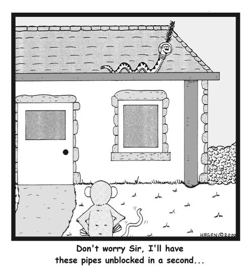 Don't worry Sir, I'll have these pipes unblocked in a second...