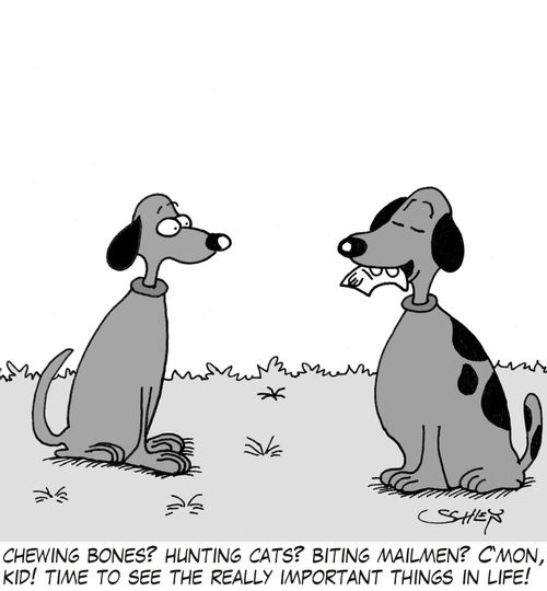 'Chewing bones? Hunting cats? Biting mailmen? C'mon, kid! Time to see the really important things in life!'