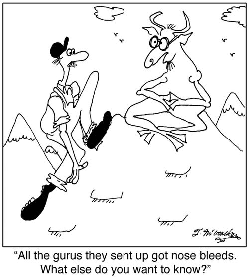 'All the gurus they sent up got nose bleeds. What else do you want to know?'
