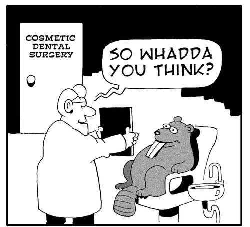 Dental surgery for beavers.