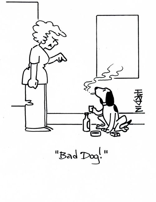 'Bad dog!'