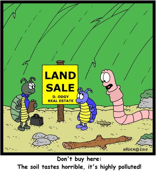 'Don't buy here: The soil tastes horrible, it's highly polluted!'