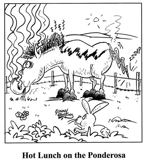 Horse lit up by electric fence. Title: 'Hot Lunch on the Ponderosa'