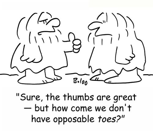 'Sure, the thumbs are great -- but how come we don't have opposable toes?'
