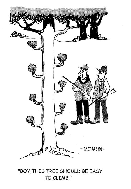 'Boy, this tree should be easy to climb.'