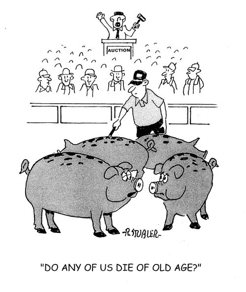 'Do any of us die of old age?'