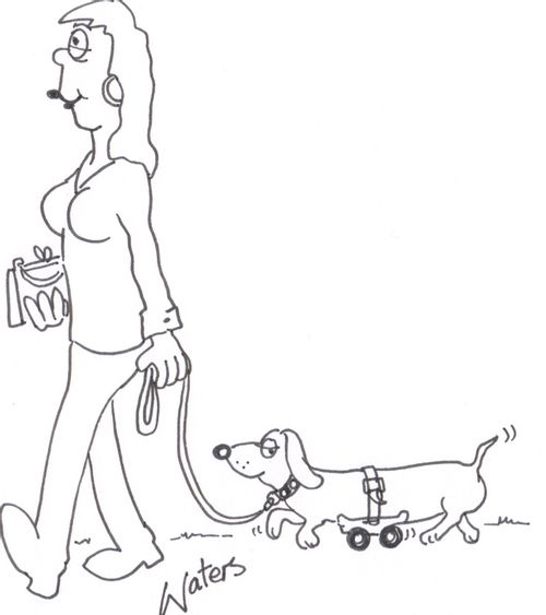 Woman walking sausage dog.