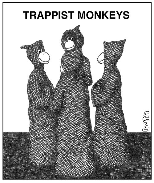 Trappist Monkeys.