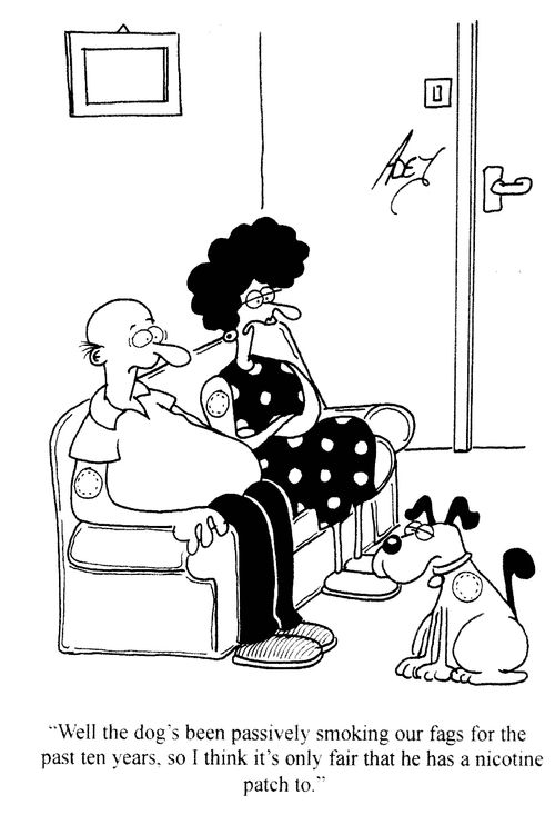 'Well the dog's been passively smoking our fags for the past ten years, so I think it's only fair that he has a nicotene patch too.'