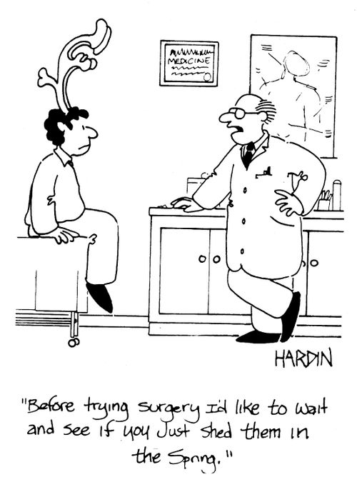 'Before trying sugery I'd like to wait and see if you just shed them in the Spring.'