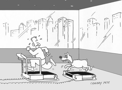 Executive fitness.