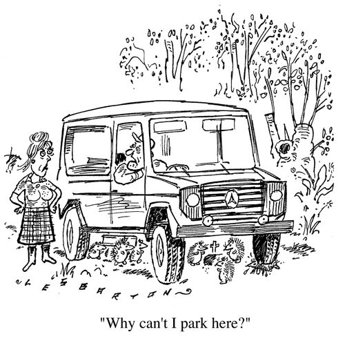 "Why can't I park here ?"