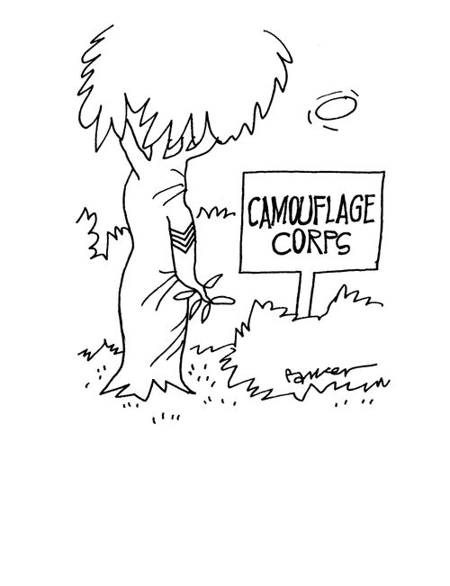 Camouflage Corps