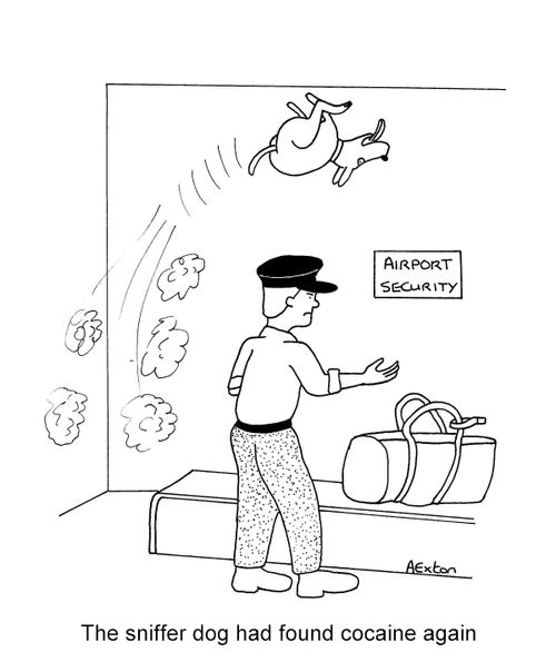 "The sniffer dog had found cocaine again."