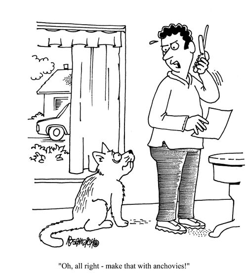 'Oh, all right - make that with anchovies!'
