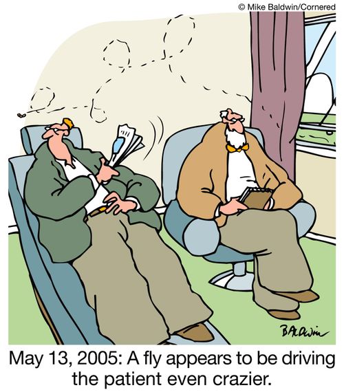 May 13, 2005: A fly appears to be driving the patient even crazier.