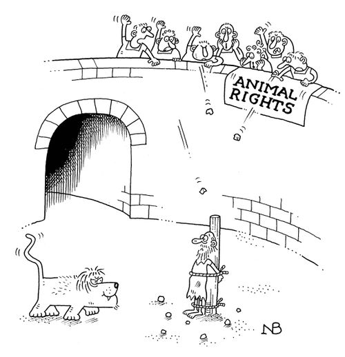 Animal Rights.