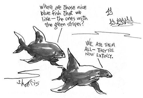'Where are those nice blue fish that we like - the ones with the green stripes?'  'We ate them all - they're now extinct.'