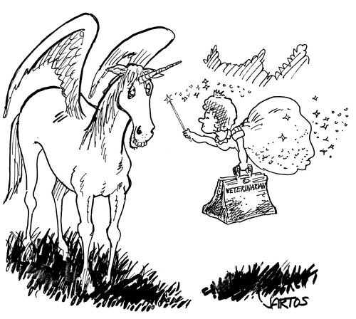 Fairy Vet