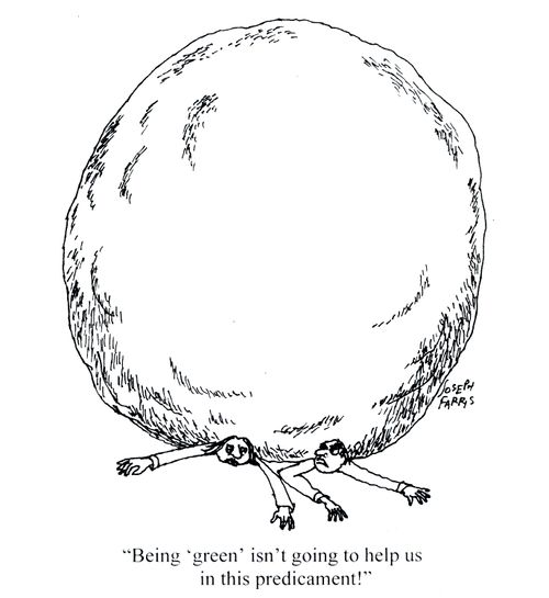 'Being green isn't going to help us in this predicament!'