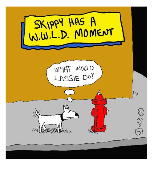 Skippy has a W.W.L.D. moment.