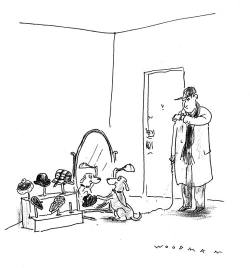 Dog decides what hat to wear.