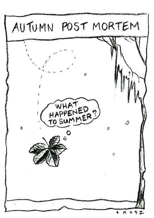 What happened to summer?'