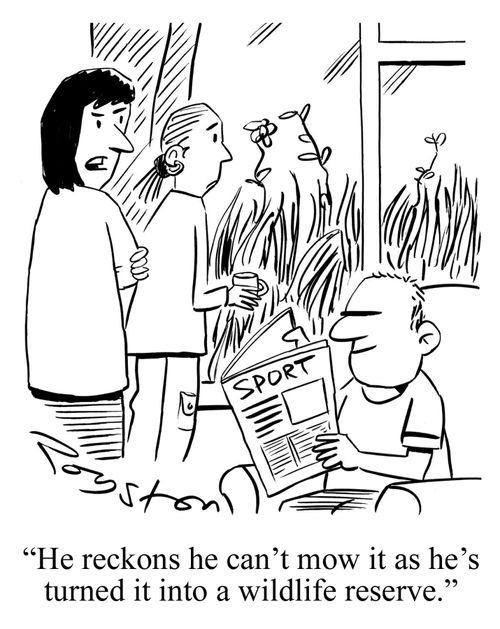 Women look out at overgrown garden as man reads sports section. Wife says: 'He reckons he can't mow it as he's turned it into a wildlife reserve.'