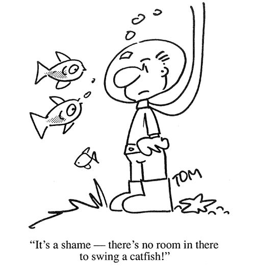 'It's a shame, there's no room in there to swing a catfish.'