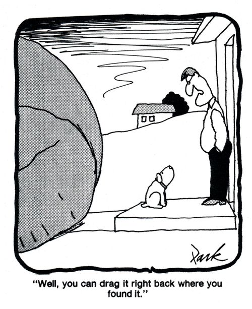 'Well, you can drag it right back where you found it.'