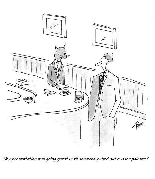 'My presentation was going great until someone pulled out a laser pointer.'