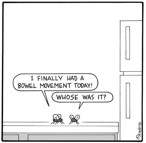 'I finally had a bowel movement today!' 'Whose was it?'