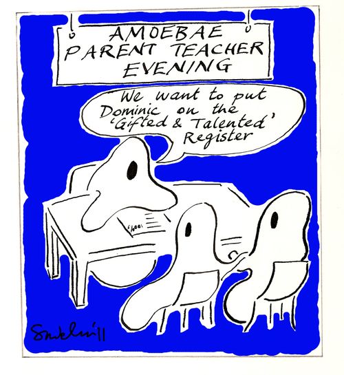 Amoebae Parent evening - Gifted and Talented