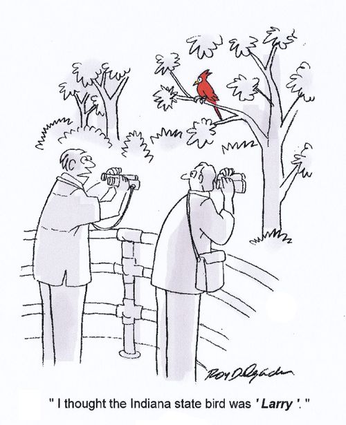 'I thought the Indiana state bird was 'Larry'.'