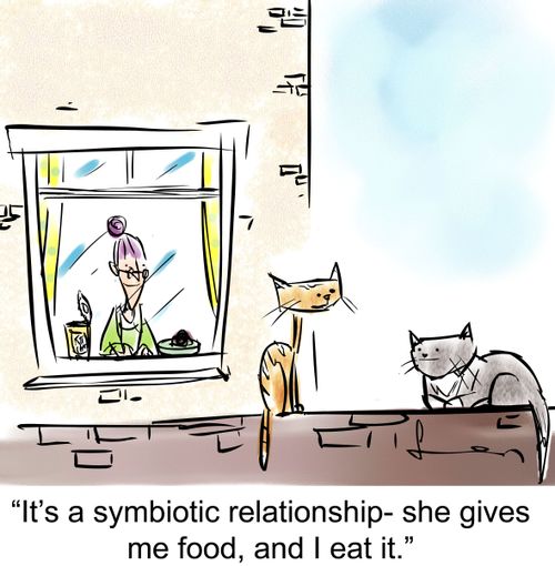 'It's a symbiotic relationship- she gives me food, and I eat it.'