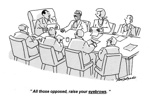 'All those opposed, raise your eyebrows.'