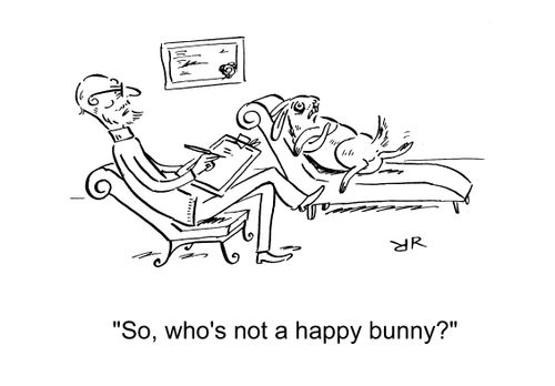 'So, who's not a happy bunny?'