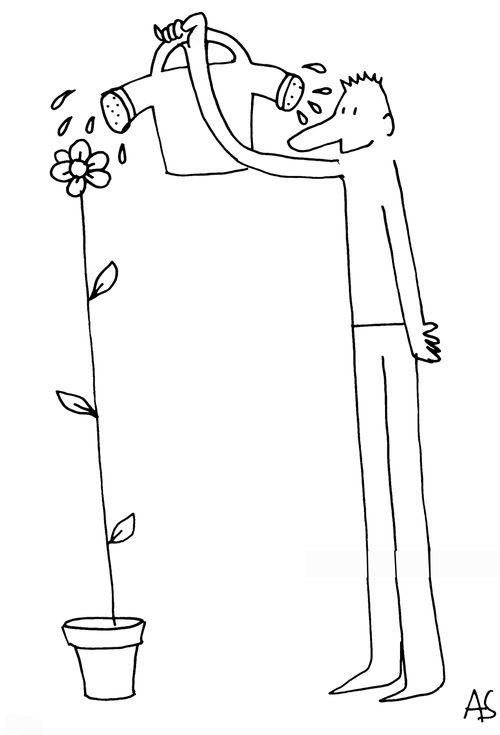 'Flower'