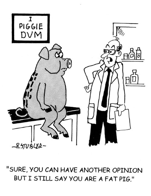 'Sure you can have another opinion but I still say you are a fat pig.'