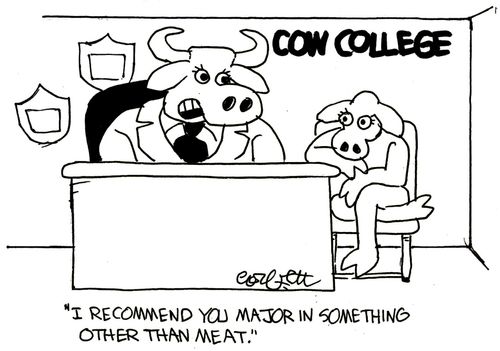 'I recommend you major in something other than meat.'