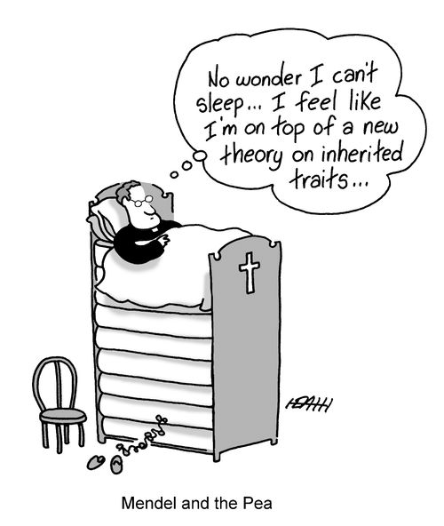 Mendel and the Pea.