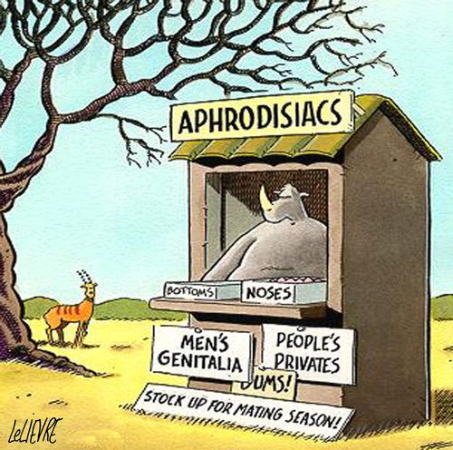 Aphrodisiacs For Sale.