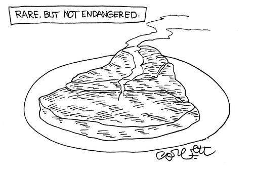 Rare, but not endangered.