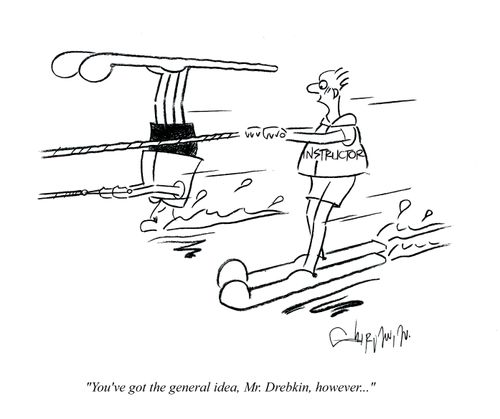 'You've got the general idea, Mr. Drebkin, however . . .'