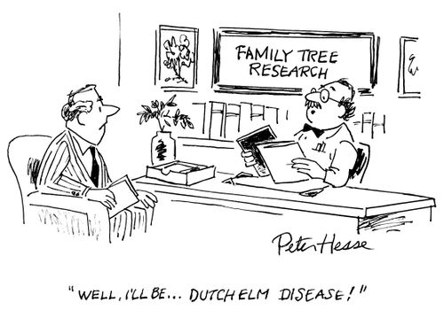 Well, I'll be...Dutch Elm Disease!