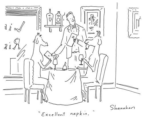 'Excellent napkin.'