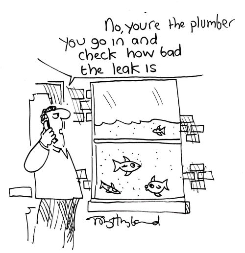 'No, you're the plumber, you go and check how bad the leak is.'