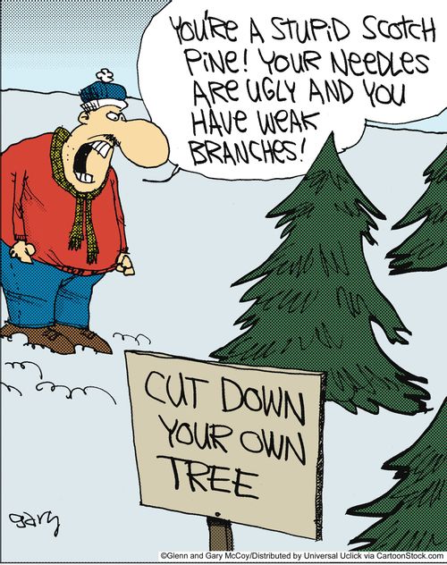 Cut down your own tree.