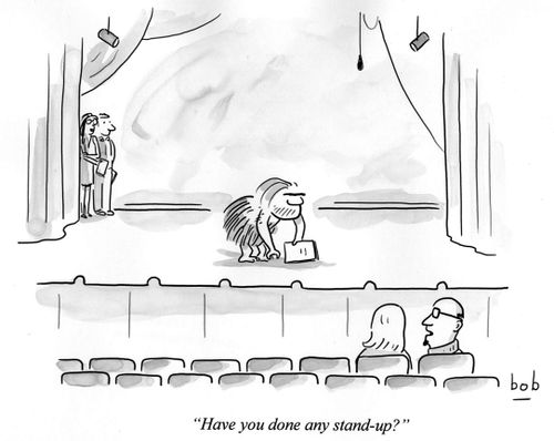 'Have you done any stand-up?'